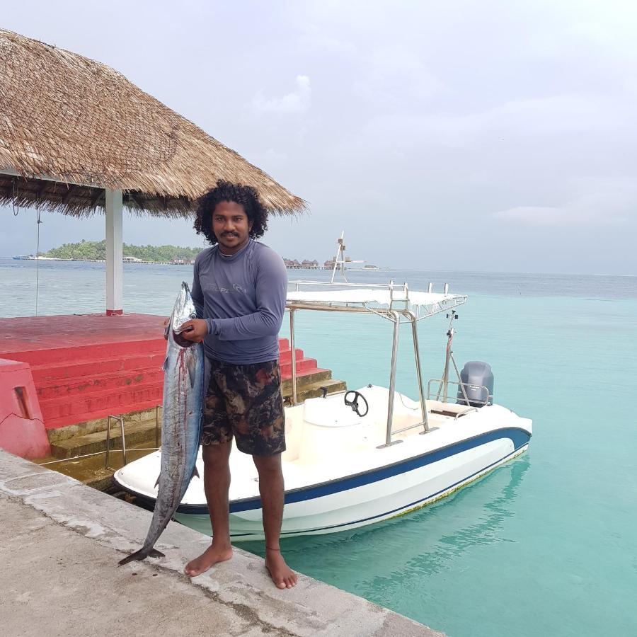 Lagoon View Maldives Гостевой дом Бодуфолуду